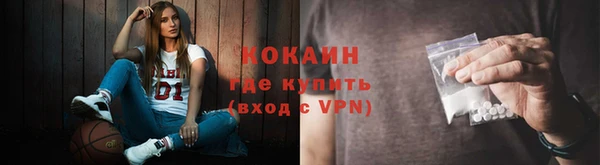 дживик Абаза