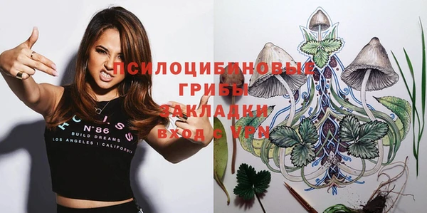дживик Абаза